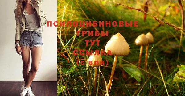 синтетический гашиш Богданович