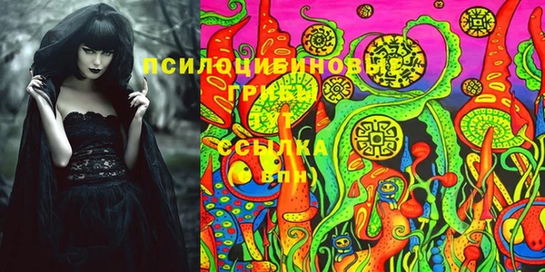 СК Богородицк