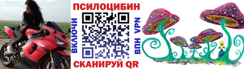 Псилоцибиновые грибы Psilocybe наркошоп Нахабино